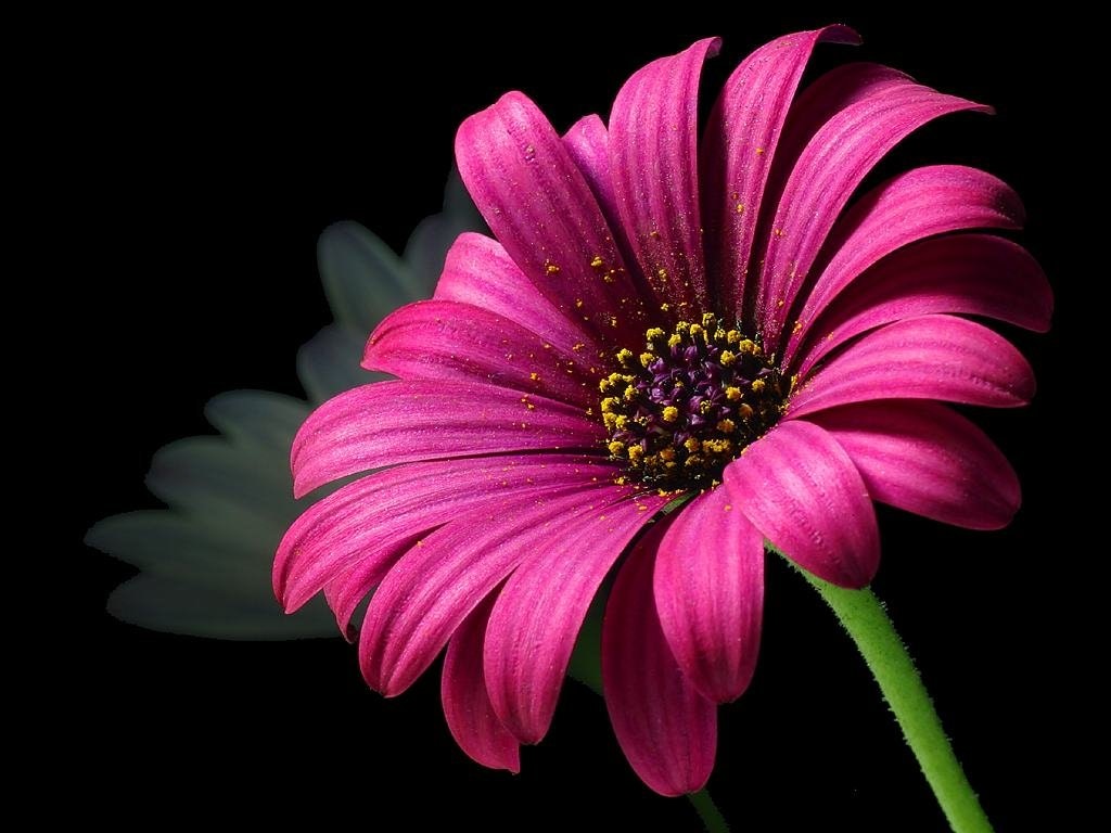 pretty.jpg